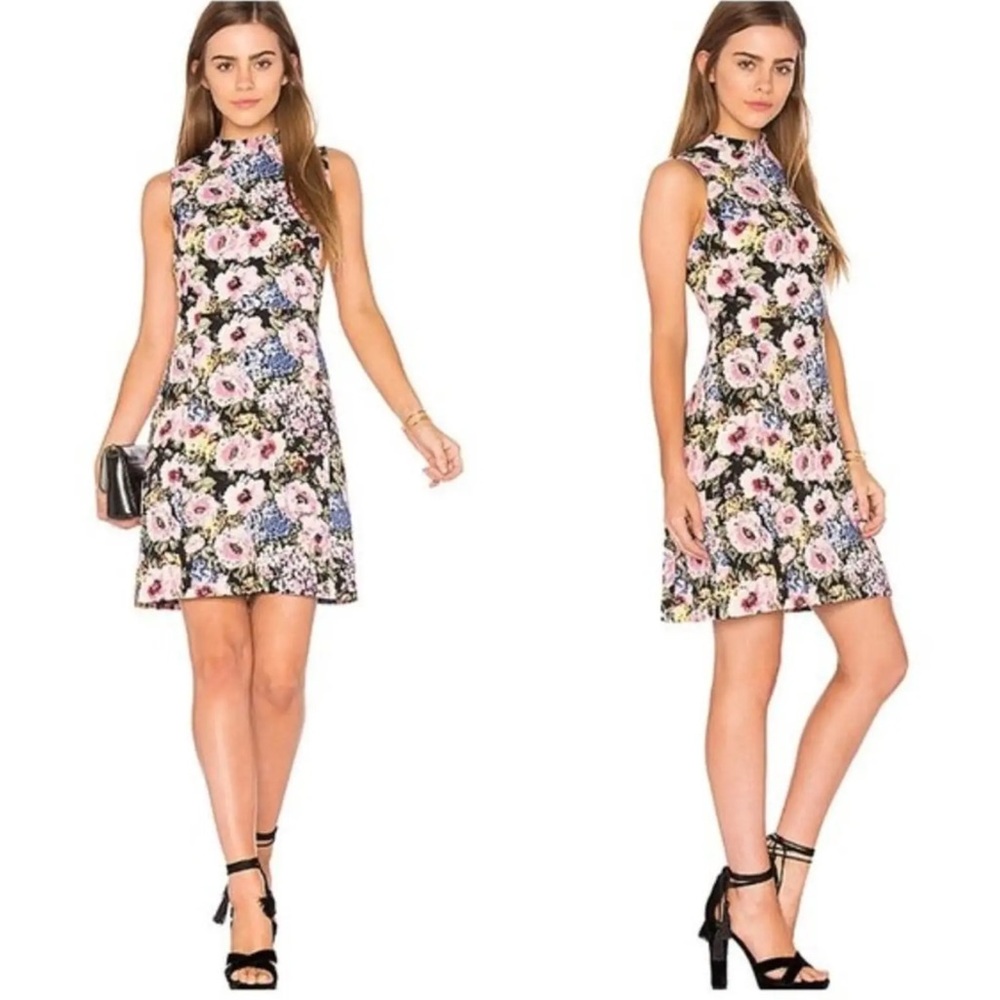 Rebecca Taylor Lavinia Garden Floral Print Dress Rose Size 2 Ruffle